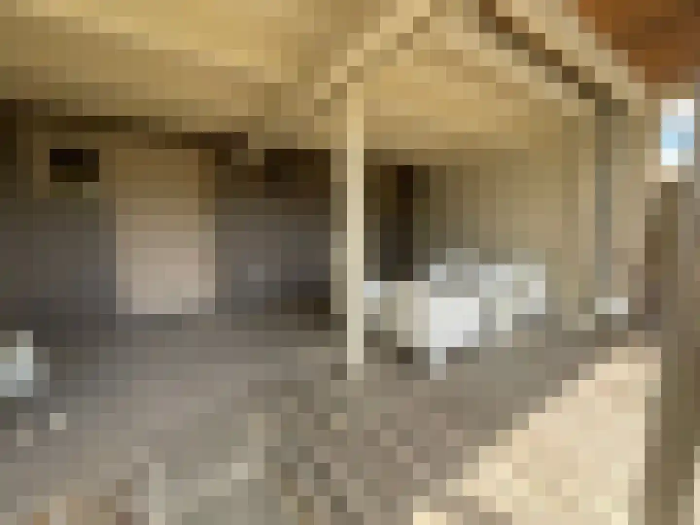 Maasbandijk 4 Kerkdriel thumbnail 32