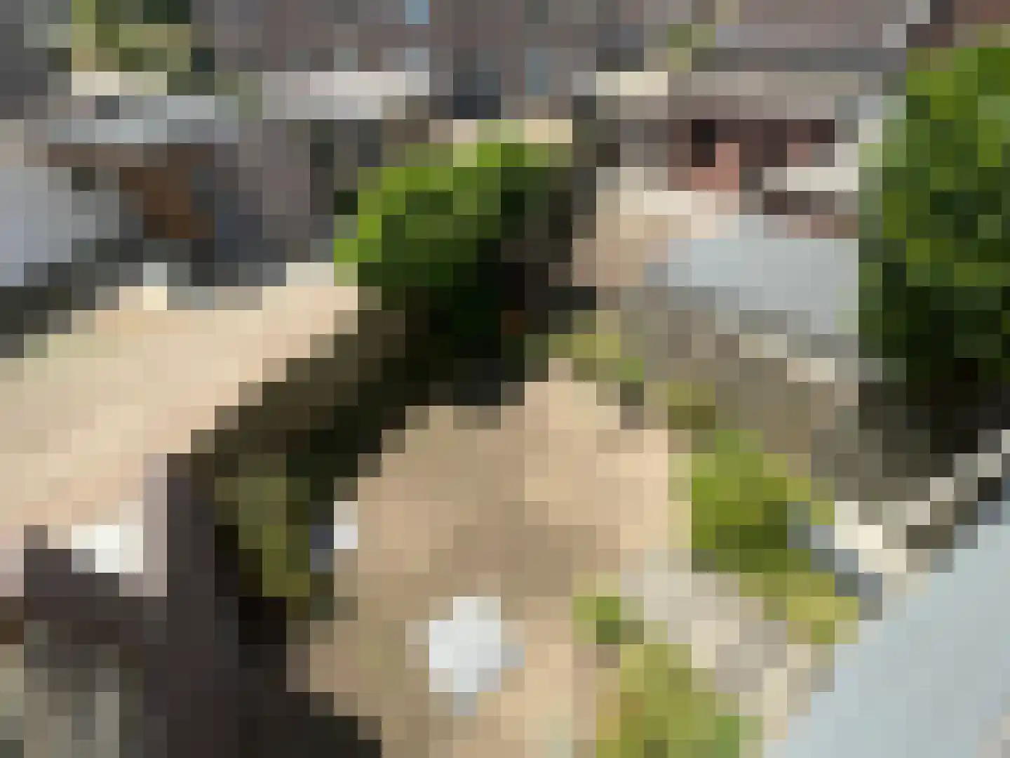Maasbandijk 4 Kerkdriel thumbnail 33