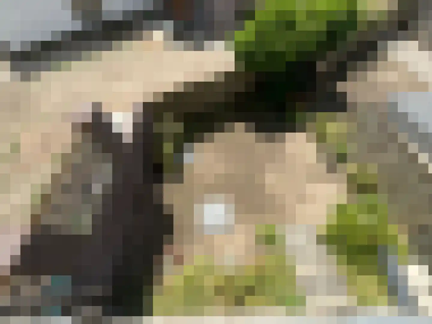 Maasbandijk 4 Kerkdriel thumbnail 34
