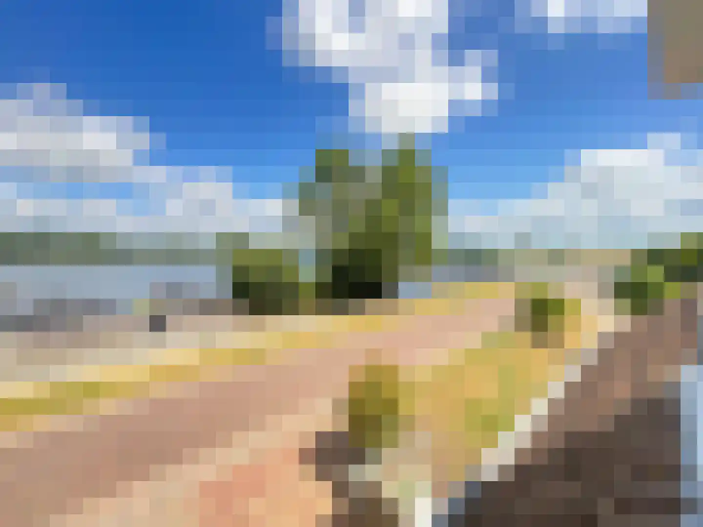 Maasbandijk 4 Kerkdriel thumbnail 38