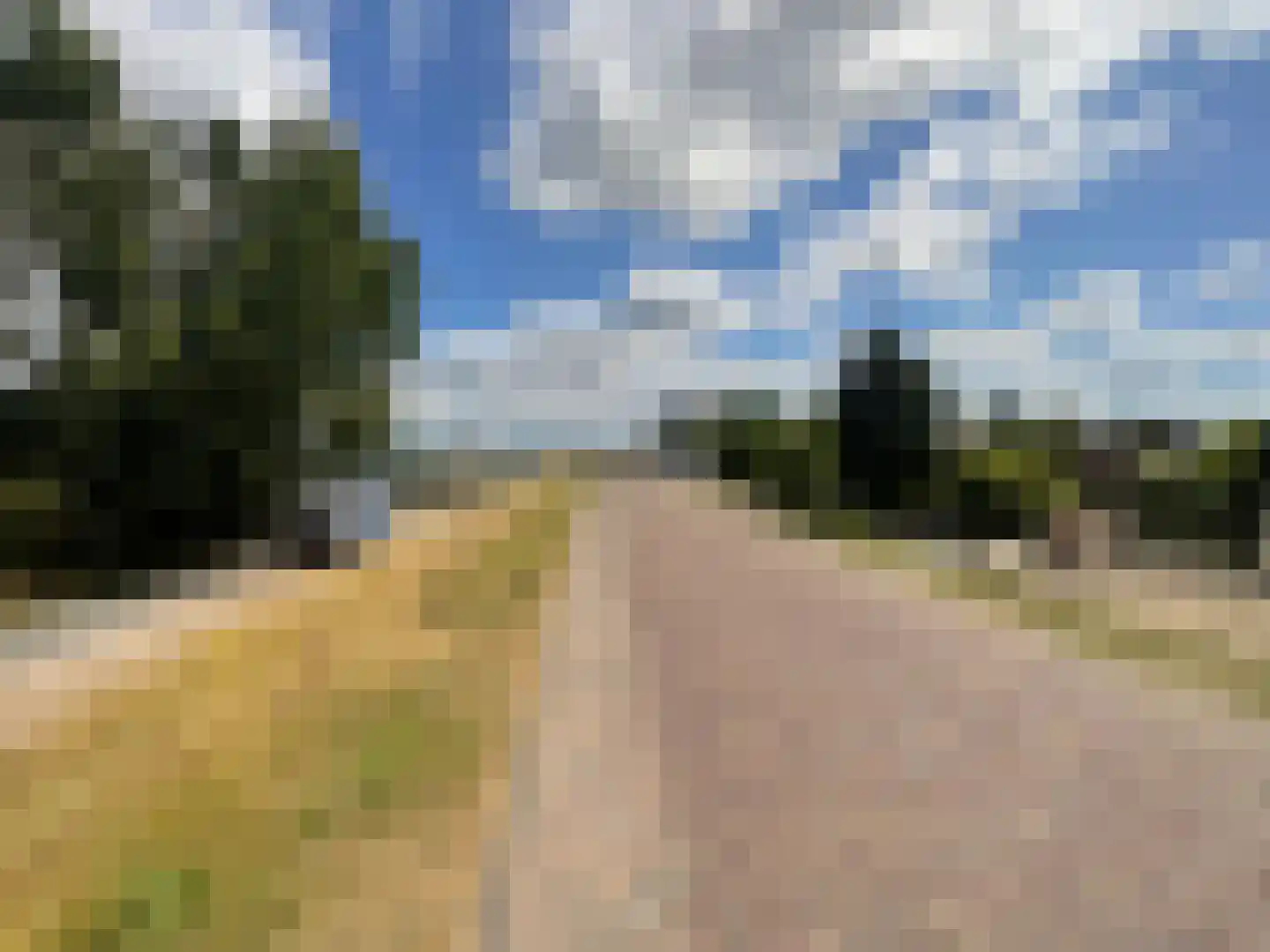 Maasbandijk 4 Kerkdriel thumbnail 39