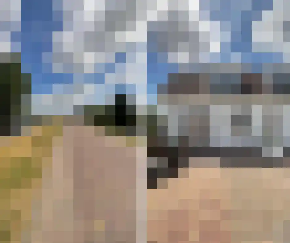 Maasbandijk 4 Kerkdriel thumbnail 4