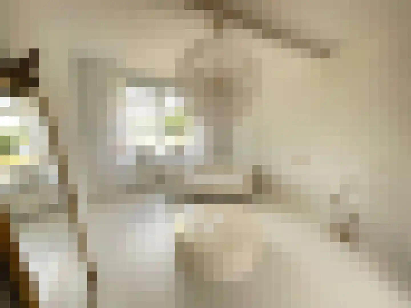 Maasbandijk 4 Kerkdriel thumbnail 6
