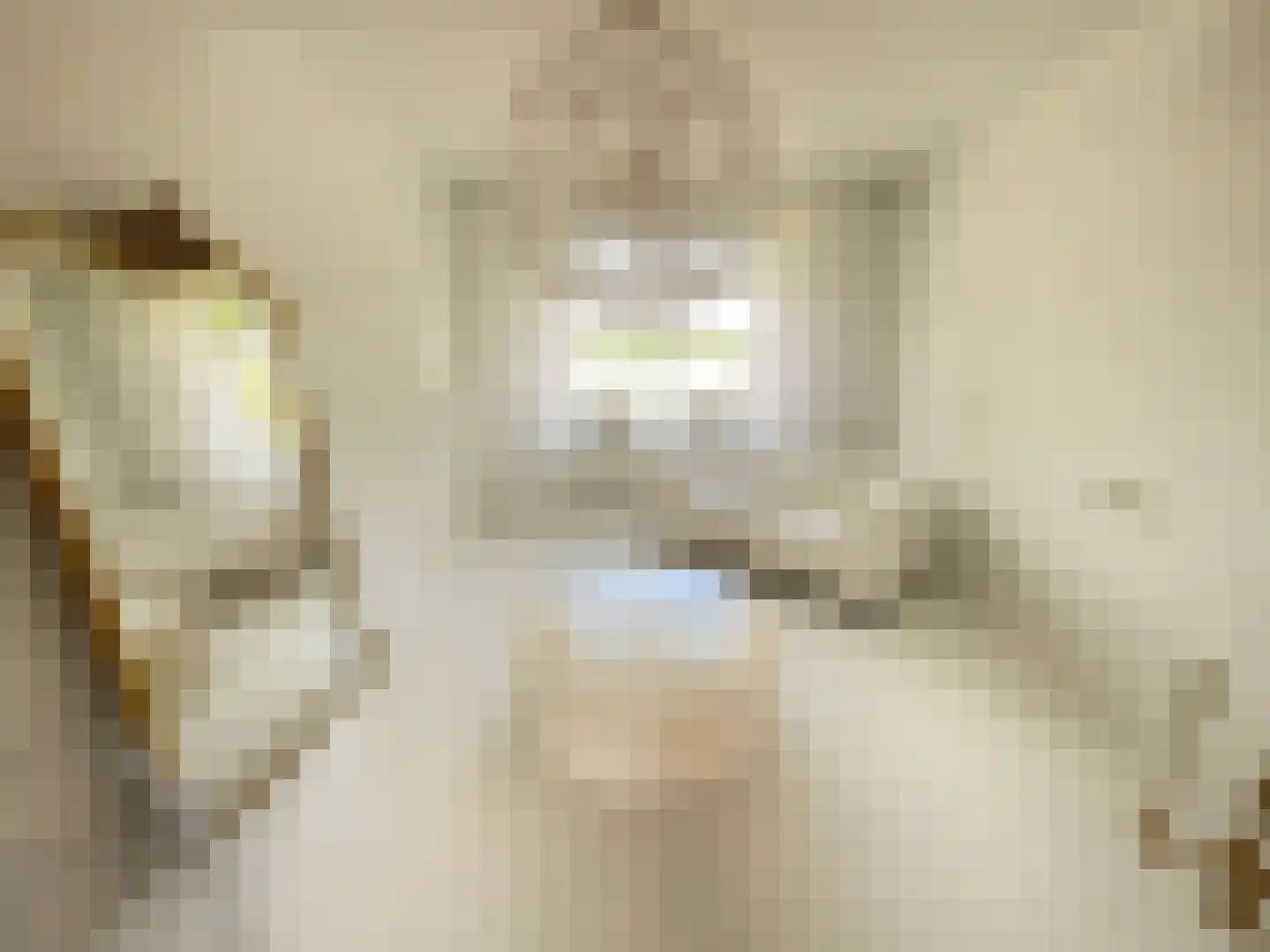 Maasbandijk 4 Kerkdriel thumbnail 7