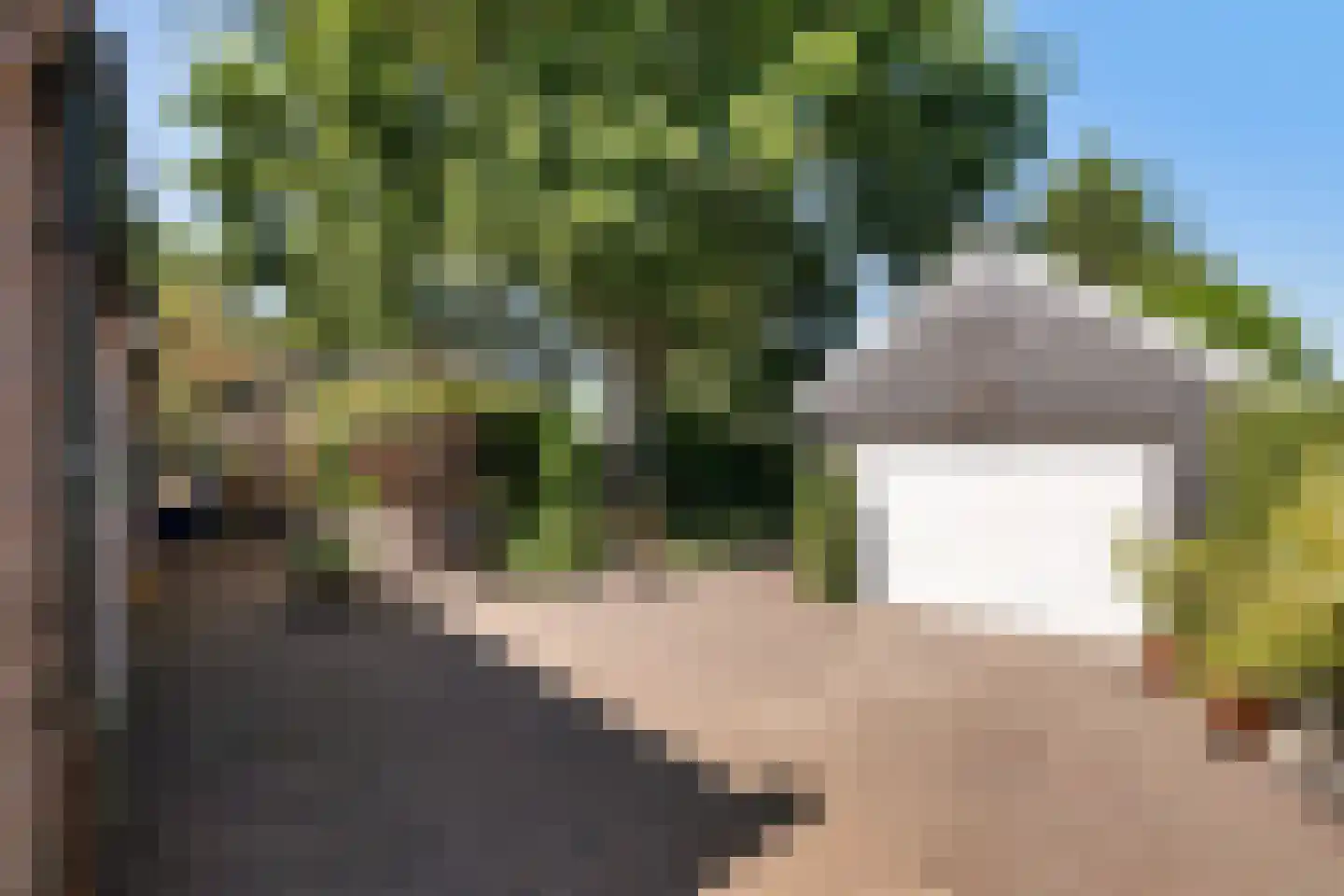 Maasbommelsestraat 36 Megen thumbnail 35