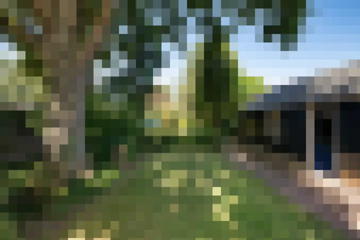 Maasbommelsestraat 36 Megen thumbnail 37