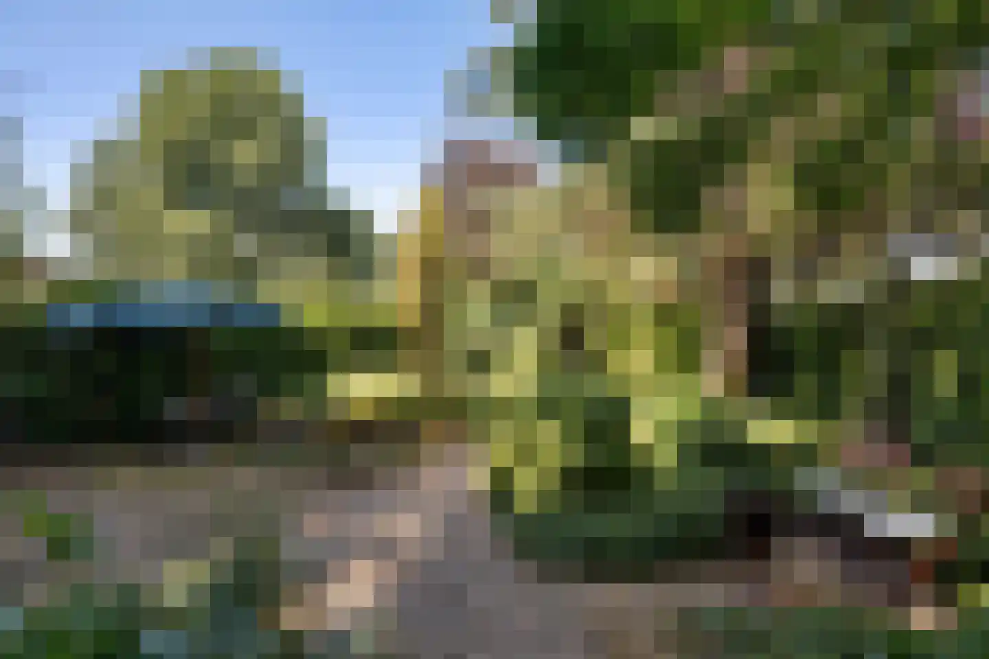 Maasbommelsestraat 36 Megen thumbnail 39