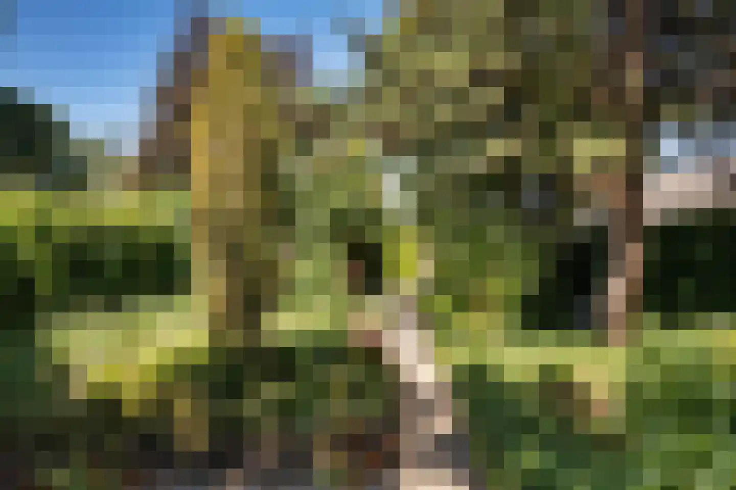 Maasbommelsestraat 36 Megen thumbnail 40