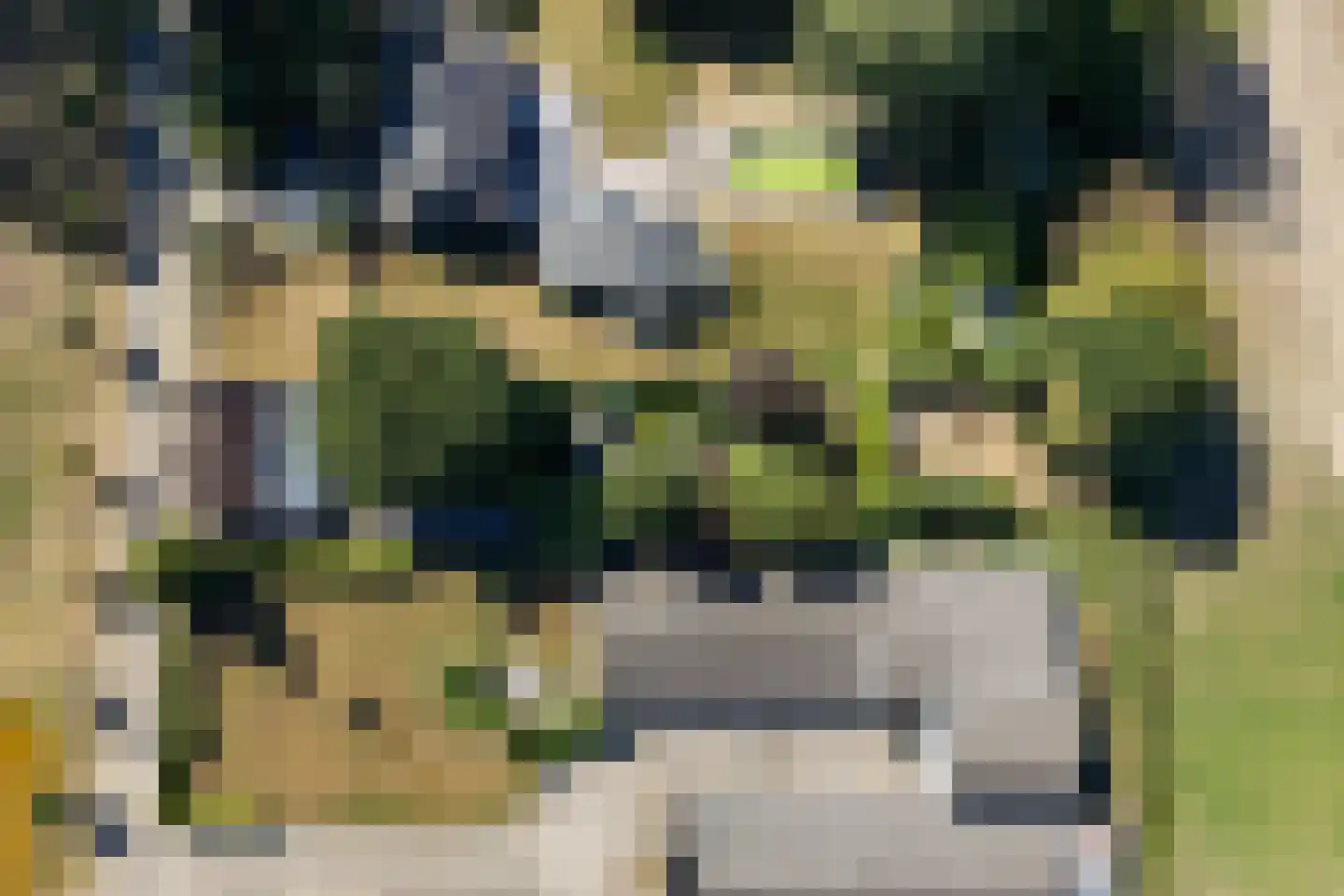 Maasbommelsestraat 36 Megen thumbnail 46