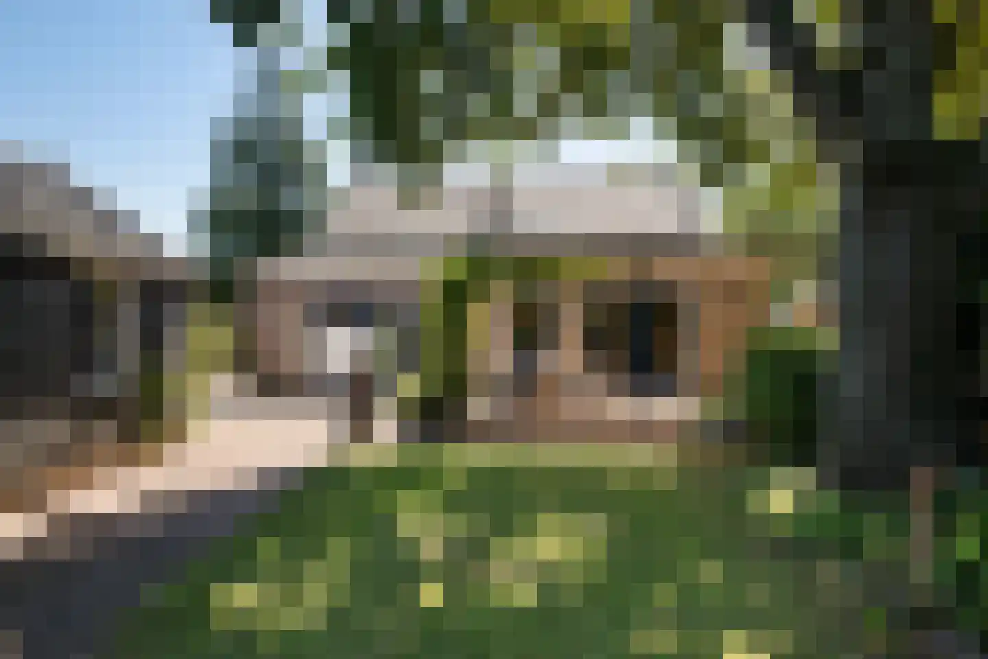 Maasbommelsestraat 36 Megen thumbnail 5