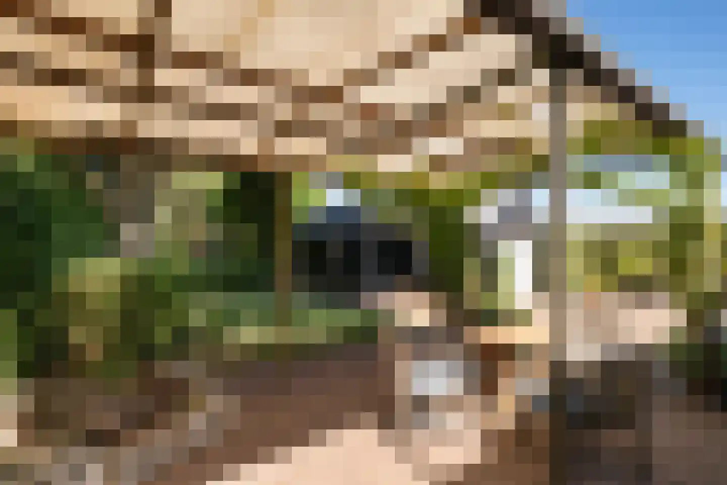 Maasbommelsestraat 36 Megen thumbnail 6