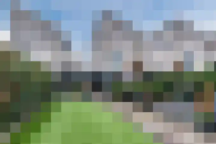Maasbommelstraat 36 Tilburg thumbnail 33