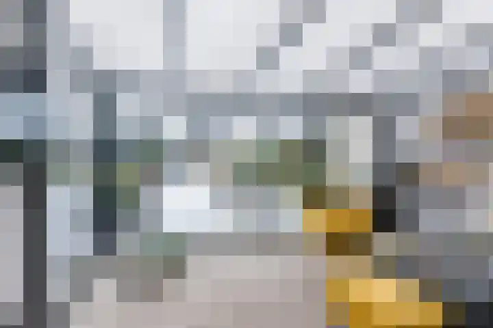Maasbommelstraat 36 Tilburg thumbnail 34