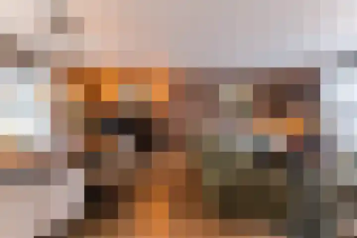 Maasbommelstraat 36 Tilburg thumbnail 4