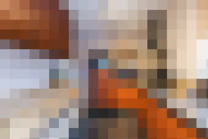 Maasbommelstraat 36 Tilburg thumbnail 9