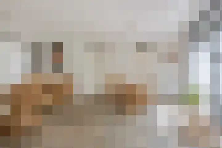 Maasbommelstraat 44 Tilburg thumbnail 13