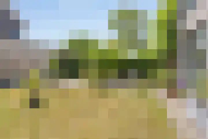 Maasbommelstraat 44 Tilburg thumbnail 37