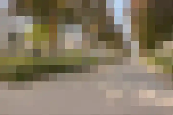Maasbommelstraat 44 Tilburg thumbnail 6