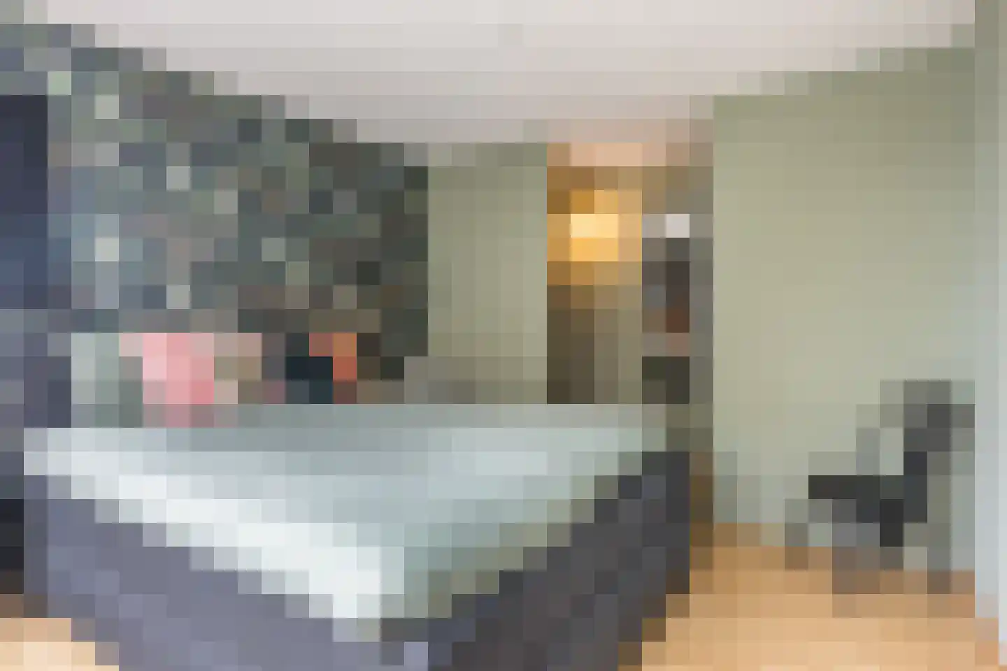 Maasbommelstraat 49 Tilburg thumbnail 19