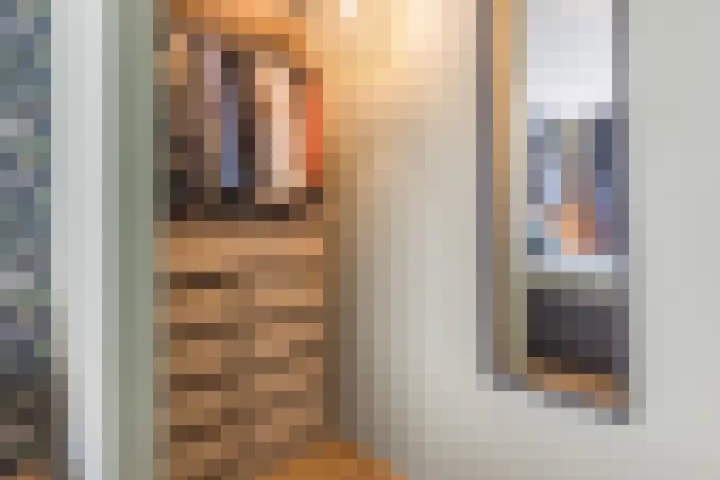 Maasbommelstraat 49 Tilburg thumbnail 21