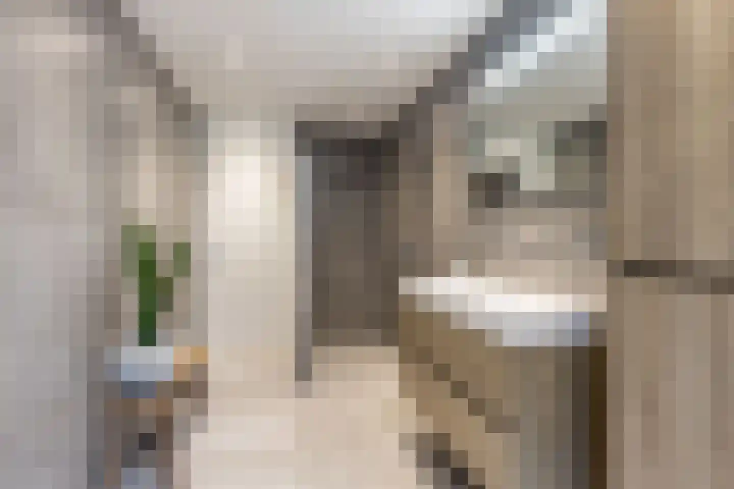 Maasbommelstraat 49 Tilburg thumbnail 26