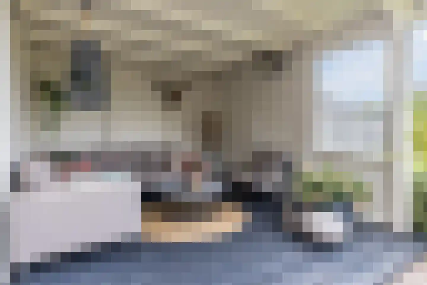 Maasbommelstraat 49 Tilburg thumbnail 34