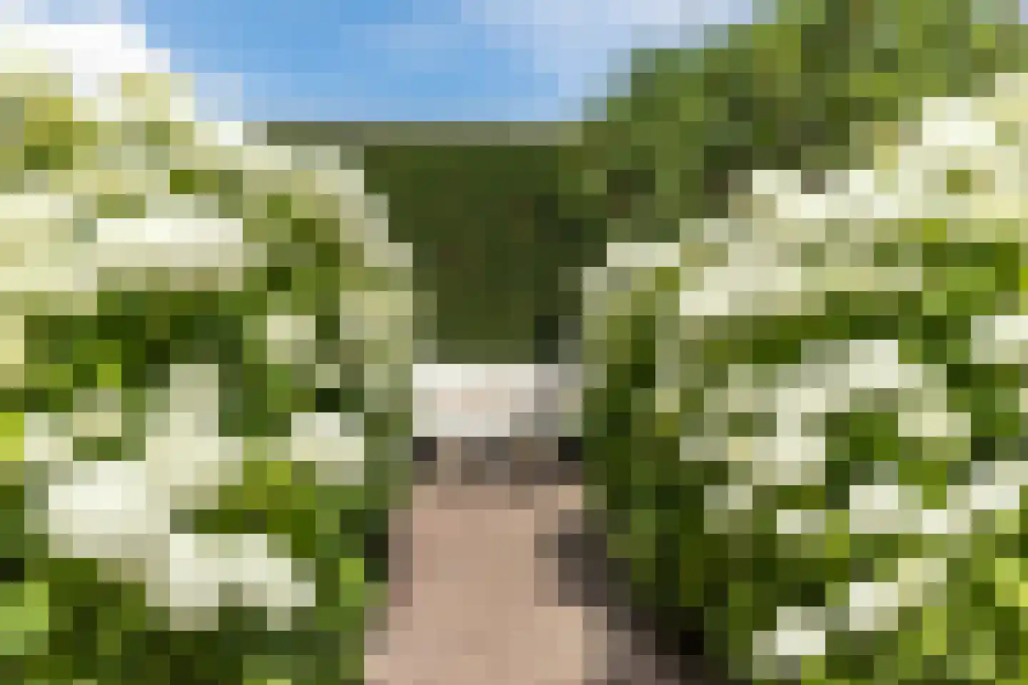 Maasbommelstraat 49 Tilburg thumbnail 37