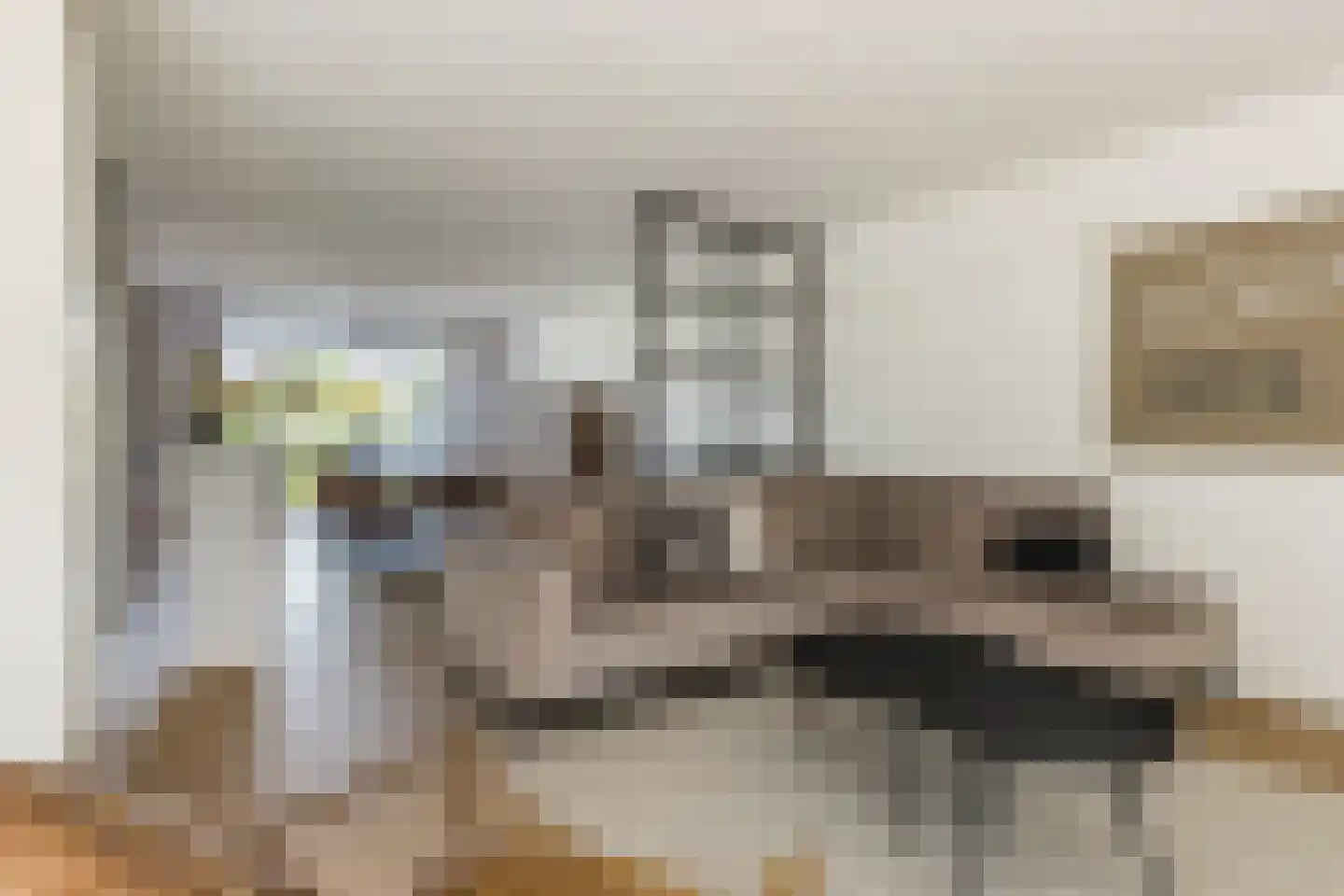 Maasbommelstraat 49 Tilburg thumbnail 5