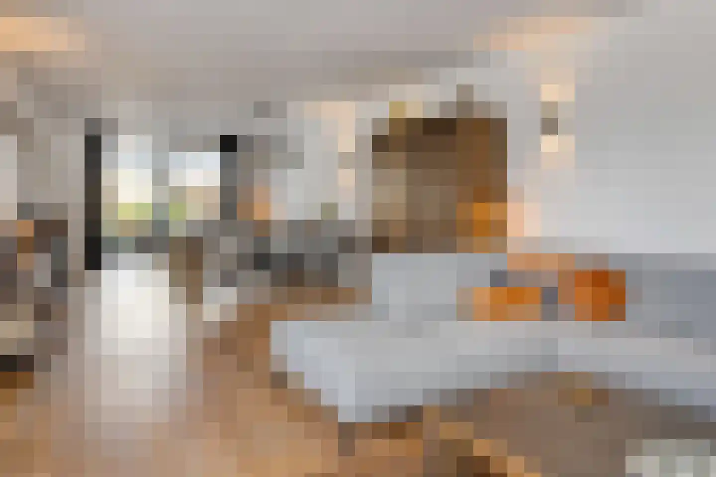 Maasbommelstraat 53 Tilburg thumbnail 11