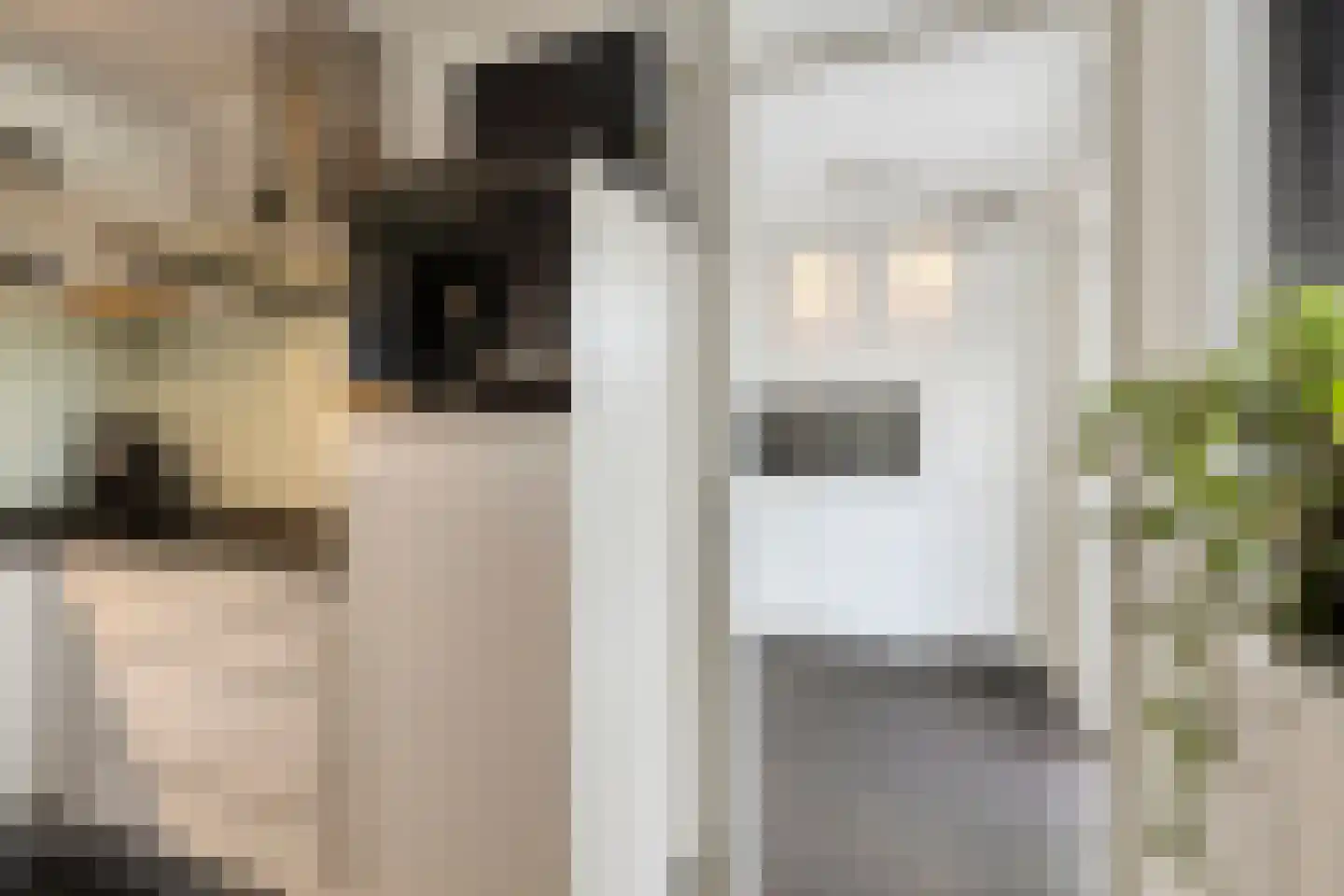 Maasbommelstraat 53 Tilburg thumbnail 23
