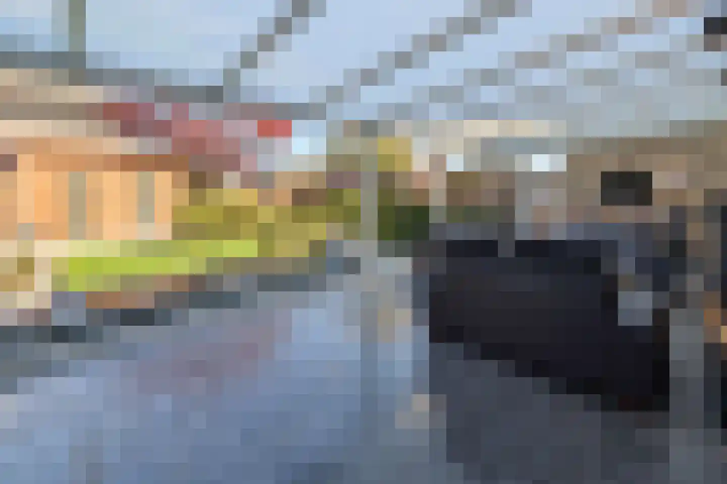 Maasbommelstraat 53 Tilburg thumbnail 31