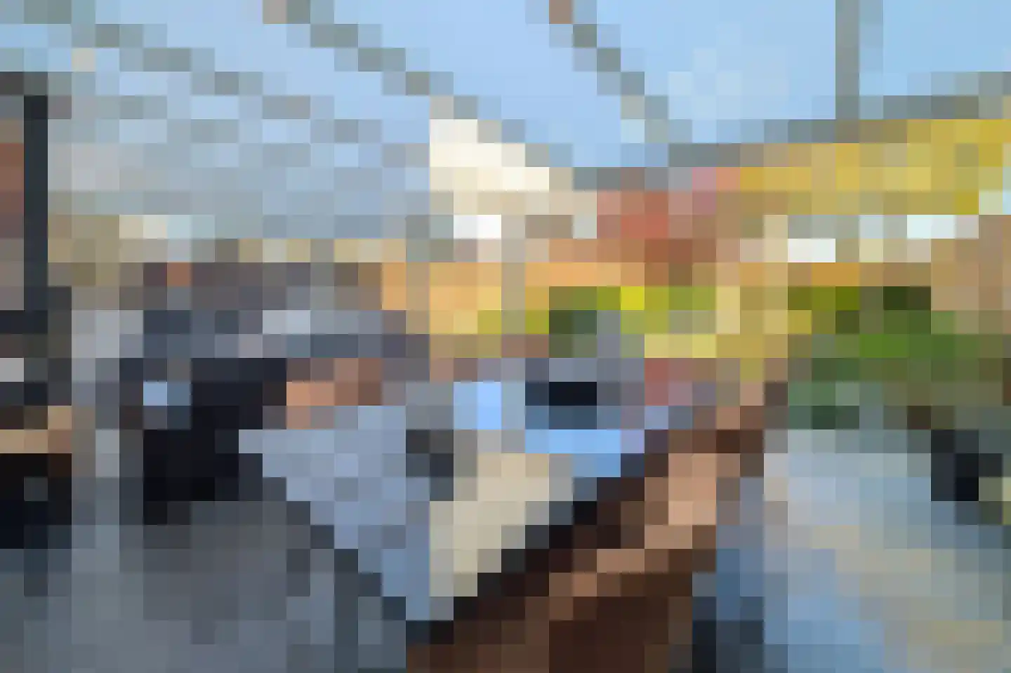 Maasbommelstraat 53 Tilburg thumbnail 34
