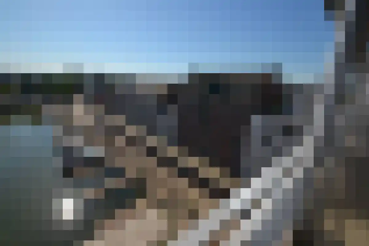 Maasboulevard 10 Maastricht thumbnail 6