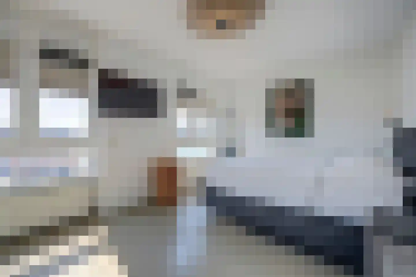 Maasboulevard 10 Zwijndrecht thumbnail 34