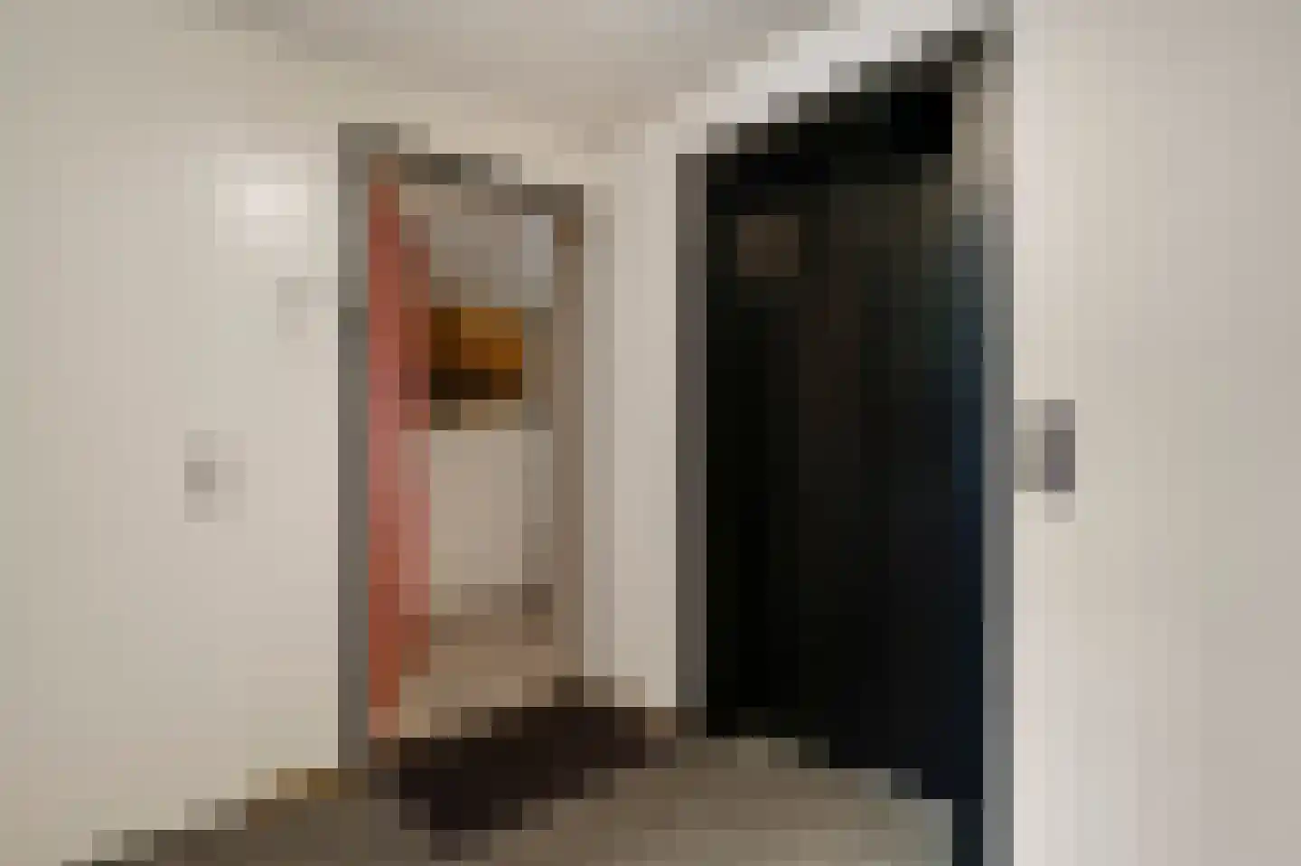 Maasboulevard 11 Roermond thumbnail 10