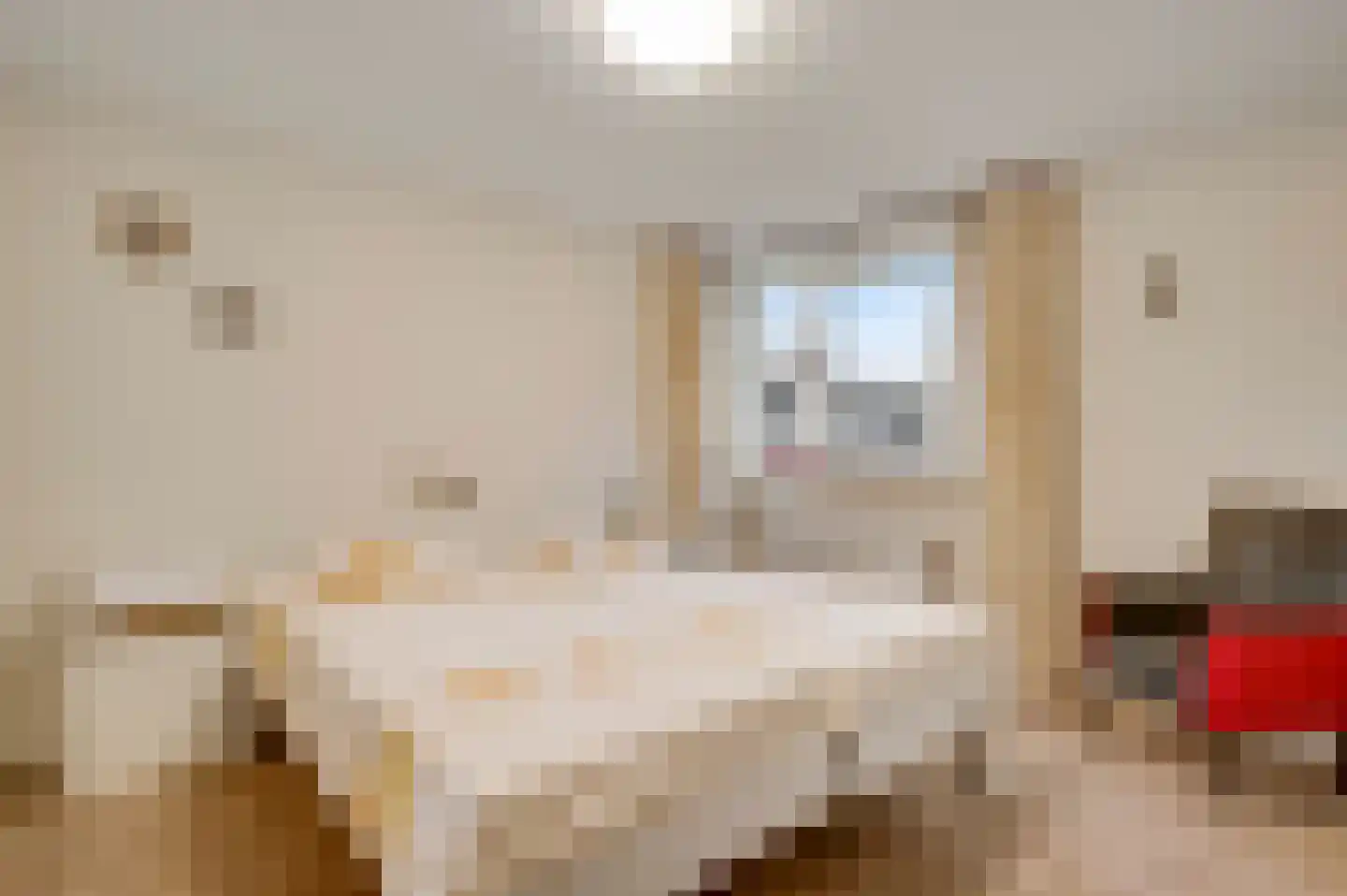 Maasboulevard 11 Roermond thumbnail 25