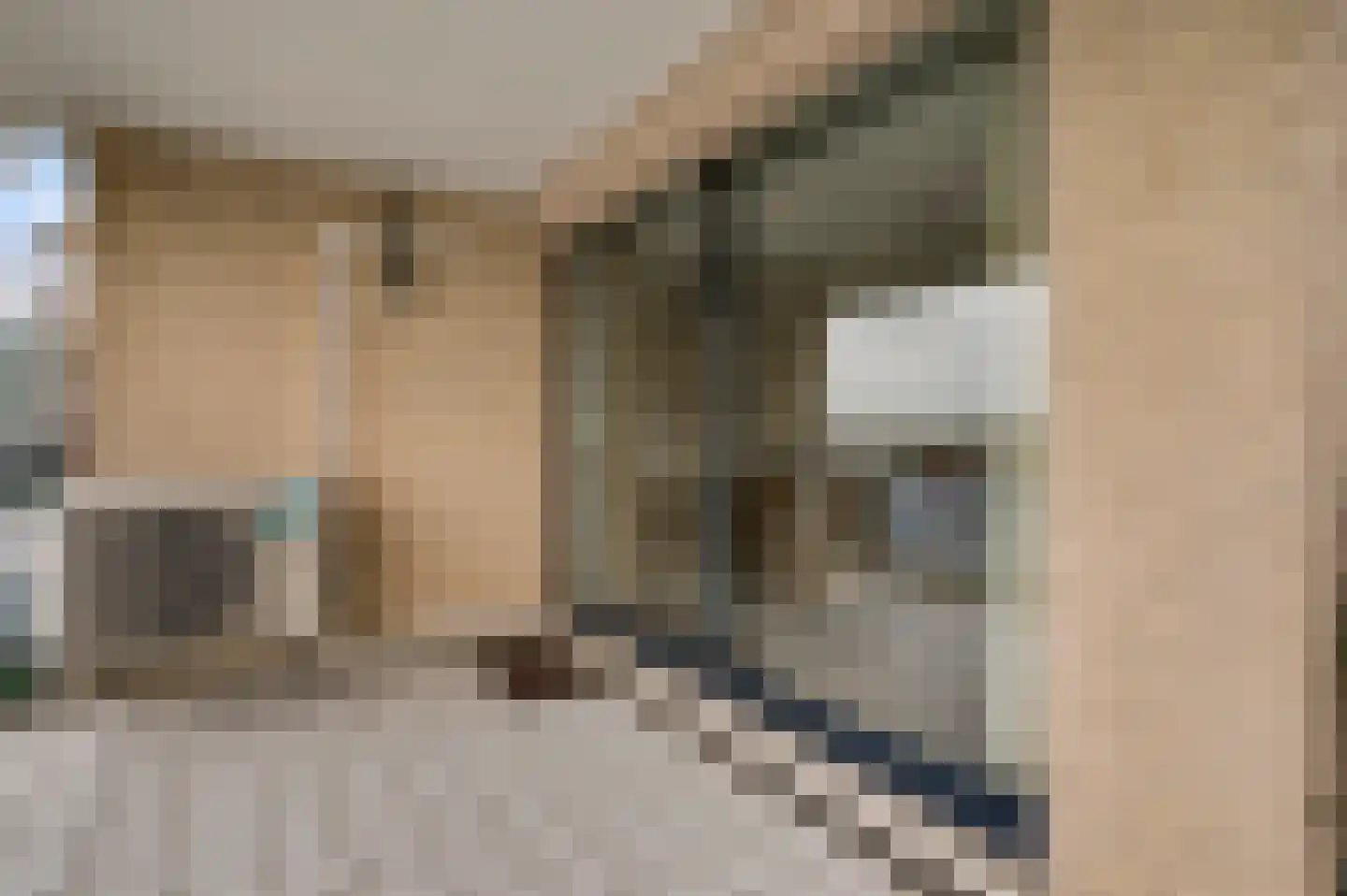 Maasboulevard 11 Roermond thumbnail 28