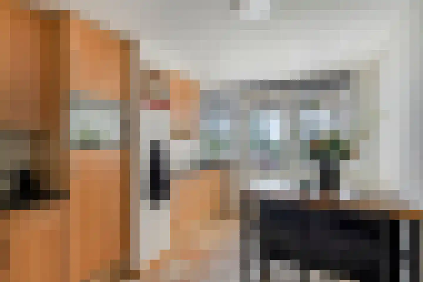 Maasboulevard 121 's-Hertogenbosch thumbnail 20