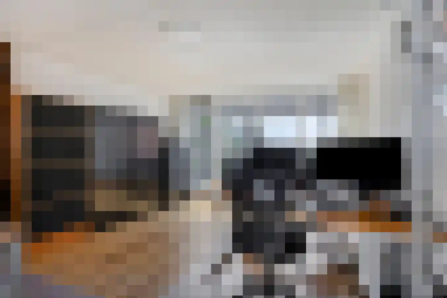 Maasboulevard 121 's-Hertogenbosch thumbnail 30