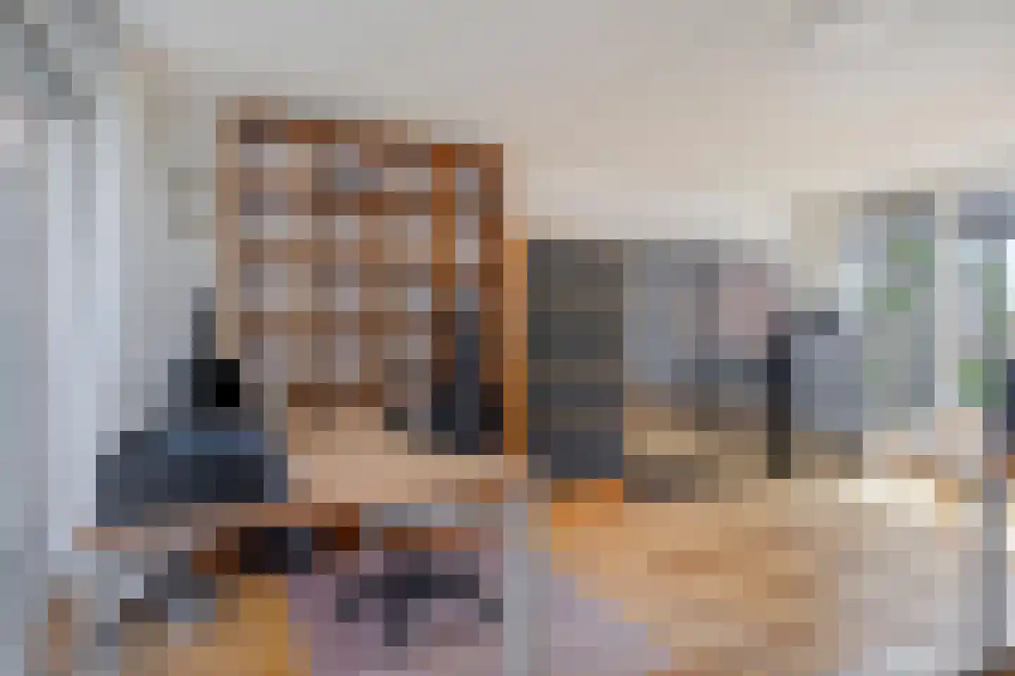 Maasboulevard 121 's-Hertogenbosch thumbnail 31