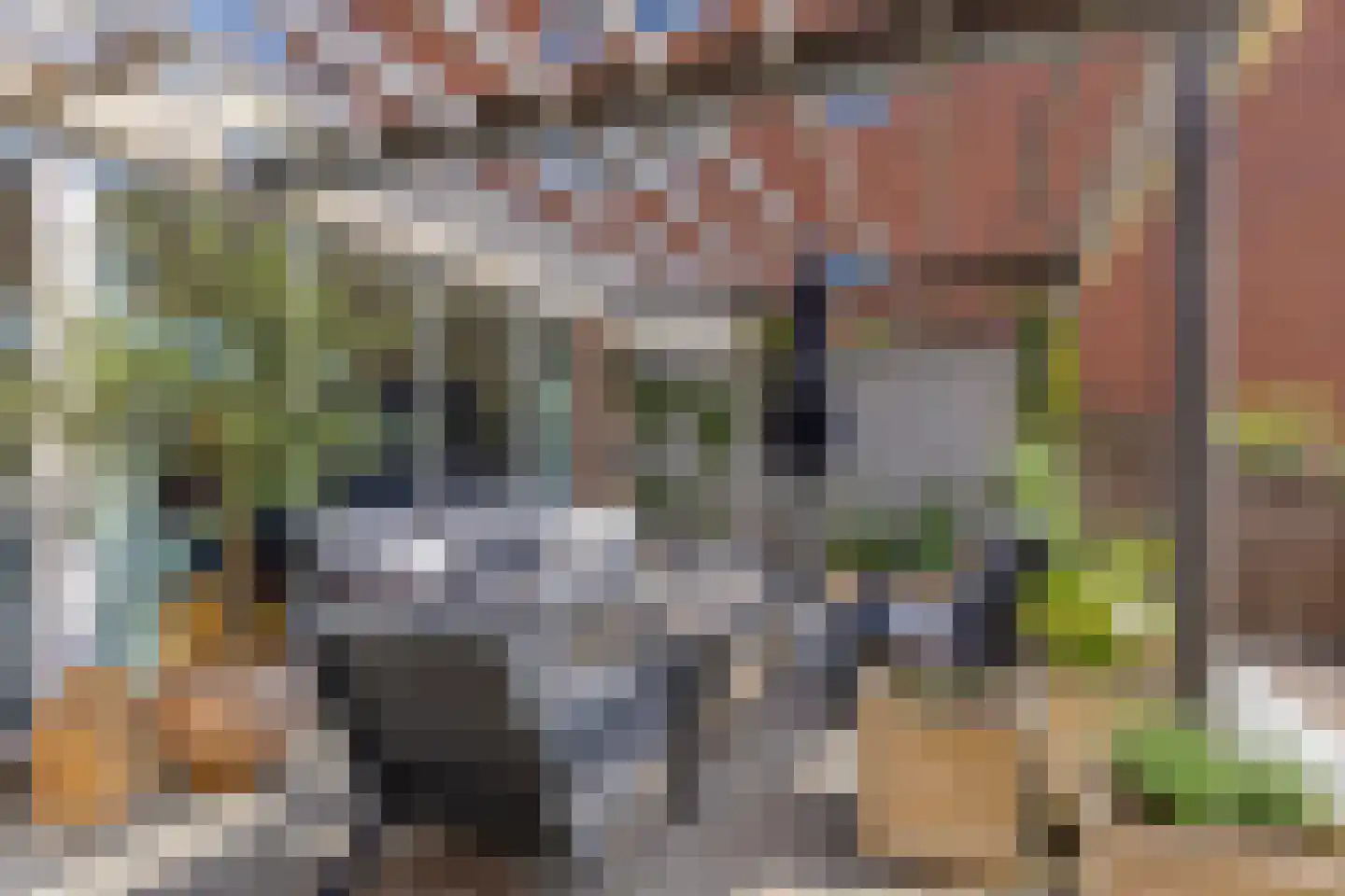 Maasboulevard 121 's-Hertogenbosch thumbnail 37