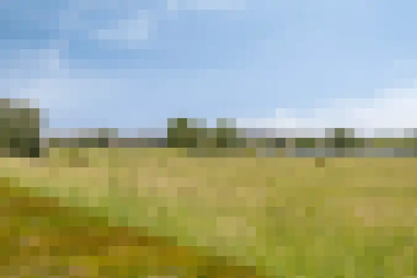 Maasboulevard 121 's-Hertogenbosch thumbnail 4