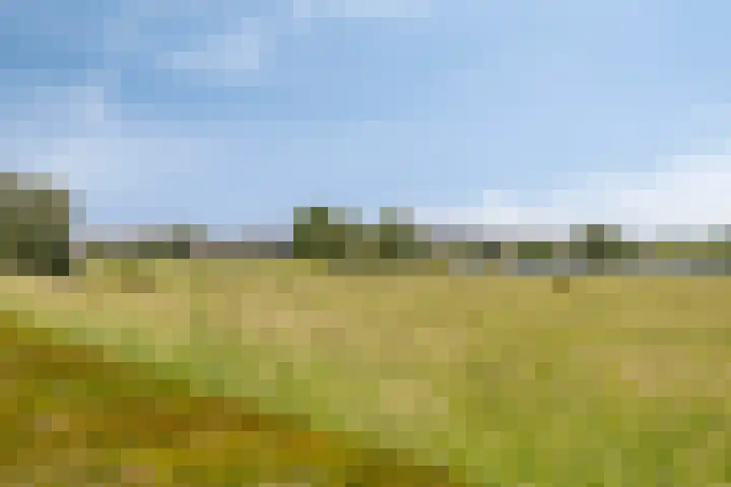Maasboulevard 121 's-Hertogenbosch thumbnail 46