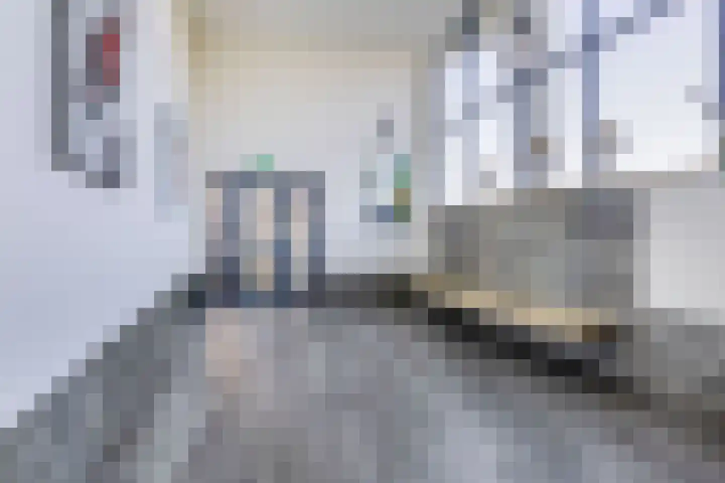 Maasboulevard 131 Spijkenisse thumbnail 13