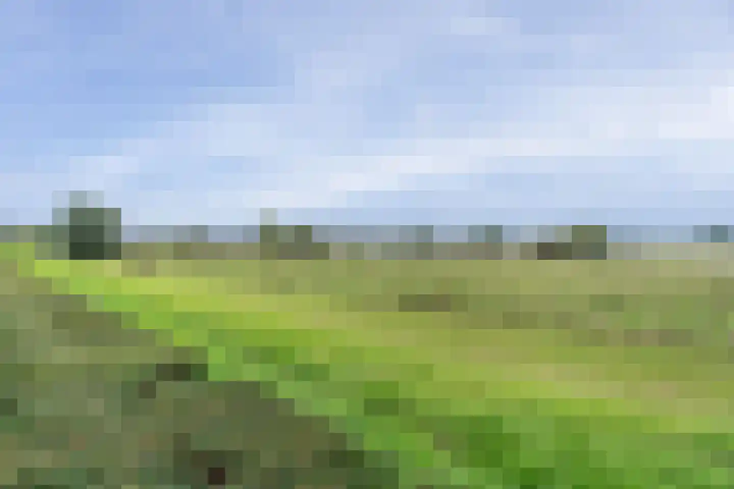 Maasboulevard 147 's-Hertogenbosch thumbnail 35