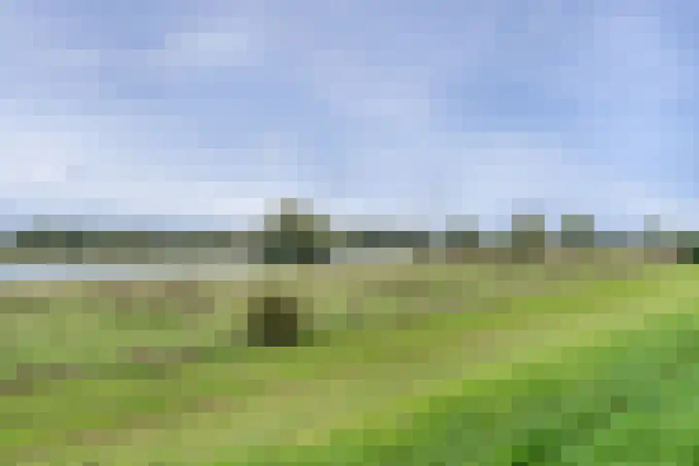 Maasboulevard 147 's-Hertogenbosch thumbnail 36