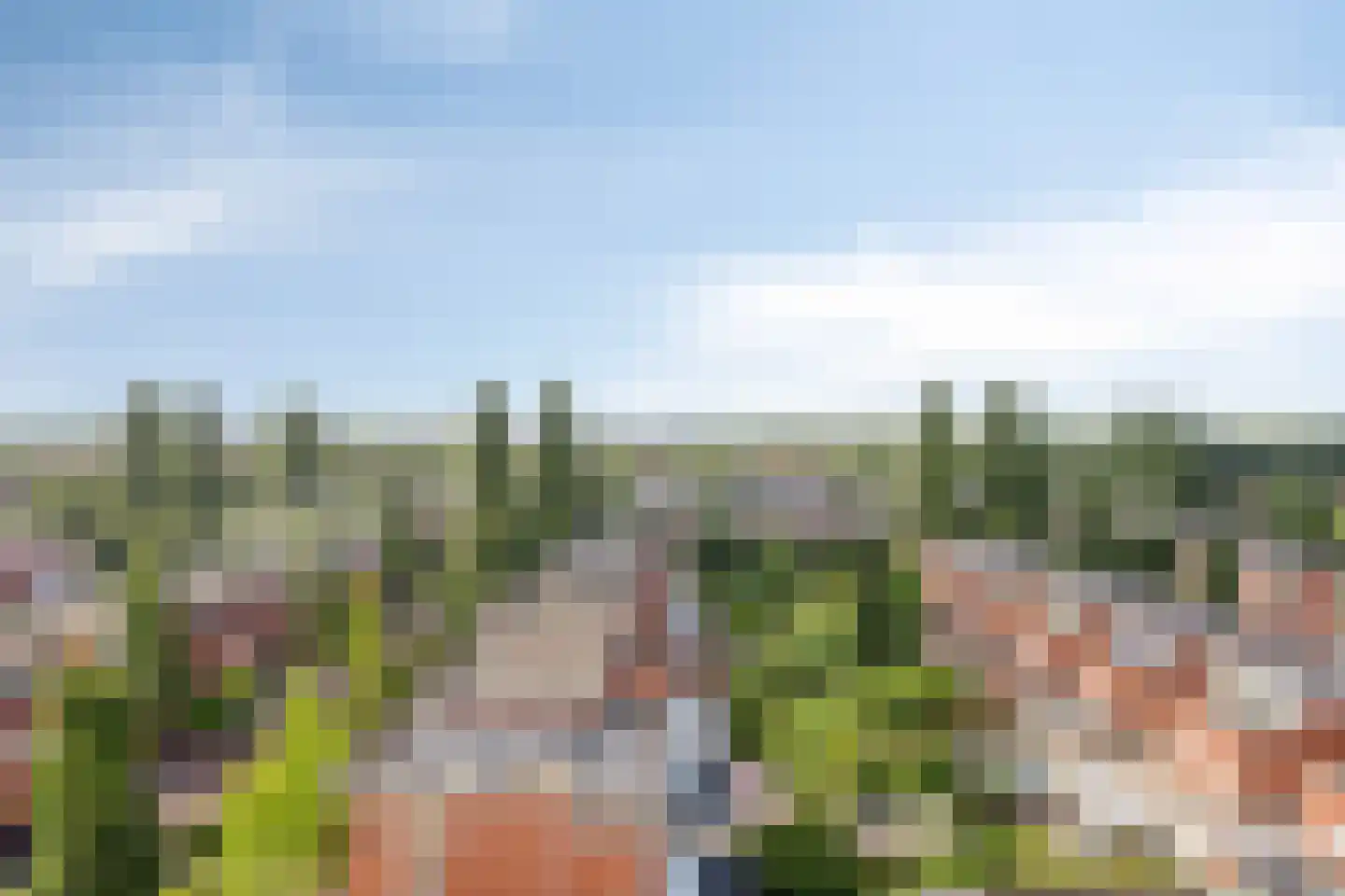 Maasboulevard 173 's-Hertogenbosch thumbnail 32