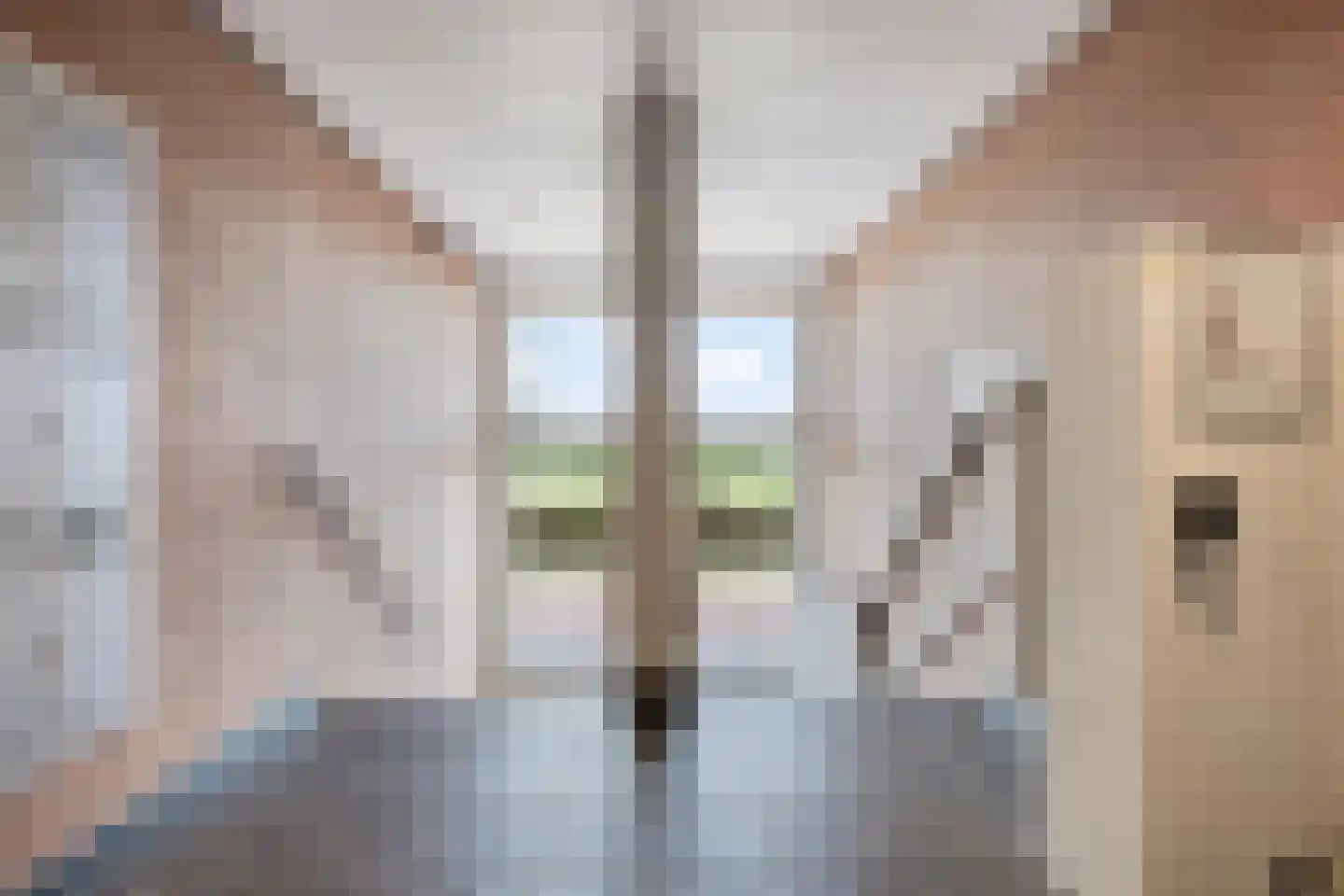 Maasboulevard 173 's-Hertogenbosch thumbnail 7