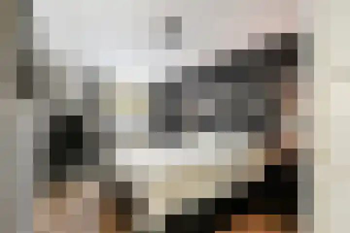 Maasboulevard 178 Rotterdam thumbnail 12