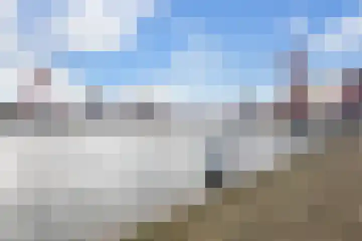 Maasboulevard 178 Rotterdam thumbnail 6